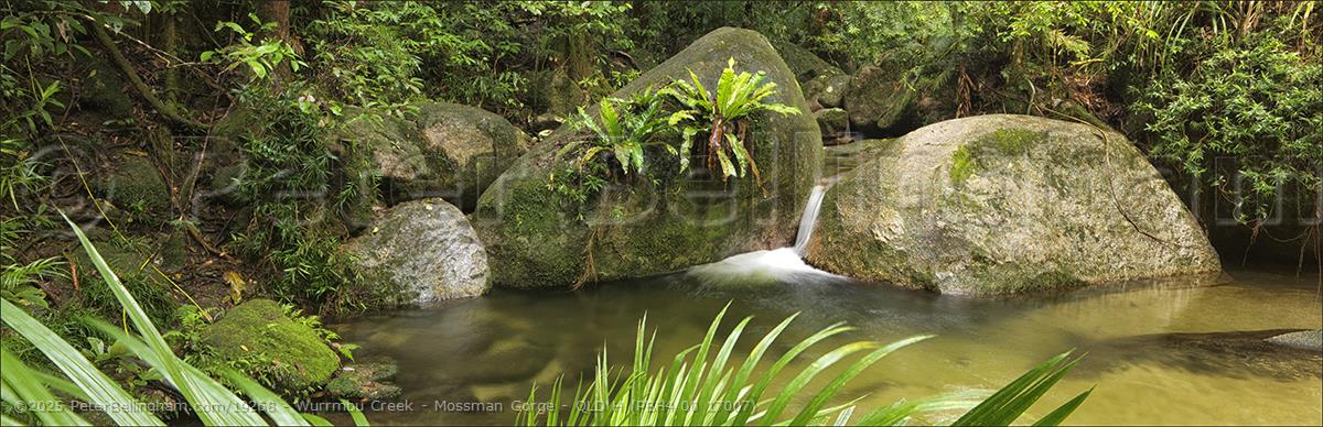 Peter Bellingham Photography Wurrmbu Creek - Mossman Gorge - QLD H (PBH4 00 17007)
